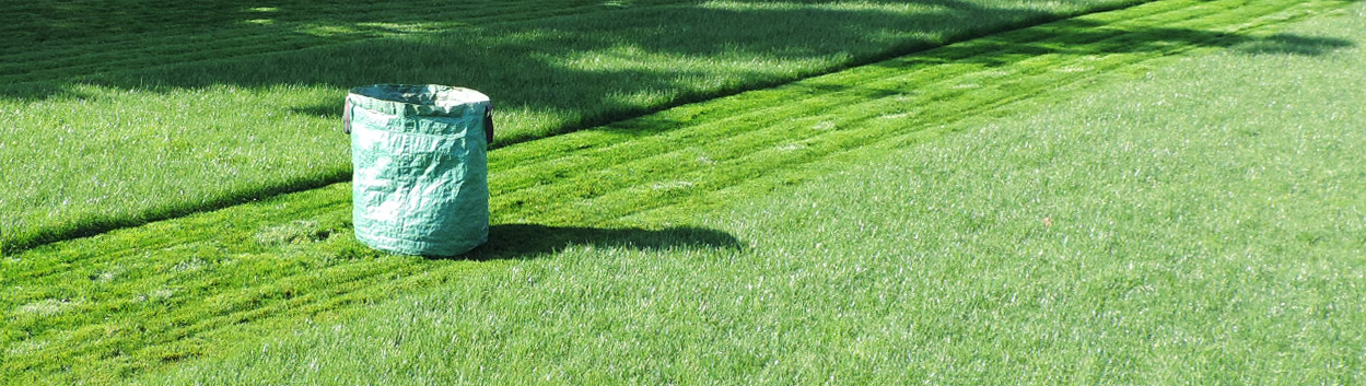 Kifejlett gyepszőnyeg fűnyírás közben